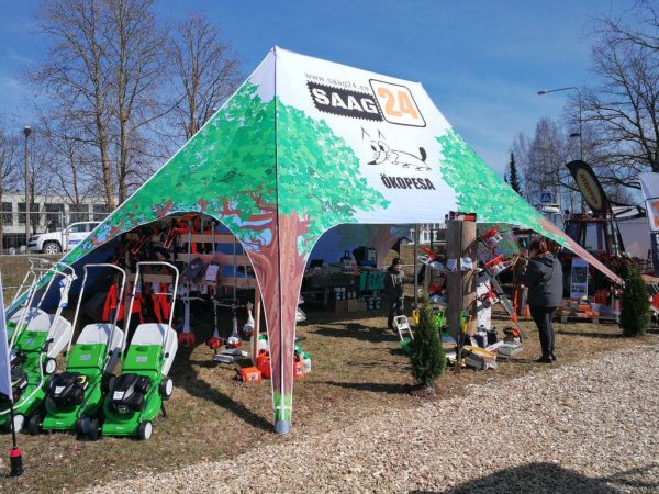 Star telgid — produkta attēls