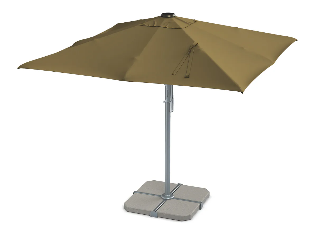 hall-pruun saulessargi brūns